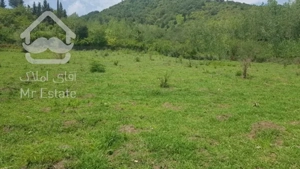فروش زمین خوش قواره 600 متری در ماسال گیلان