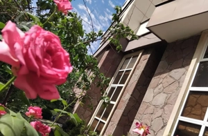 ۱۱۰م/۲خ/دوتراس/حال بزرگ منطقه اعیانی دارآباد