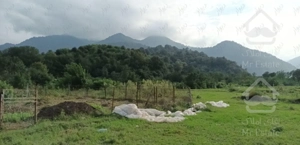 ویلا باغ ۷۰۰ متری در نگین ماسال  (طاسکوه زیبا)