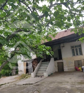 باغ ۷۰۰ متری با درختان چندساله بارور سرمایه گذاری