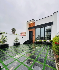 فلت نما مدرن سند دار