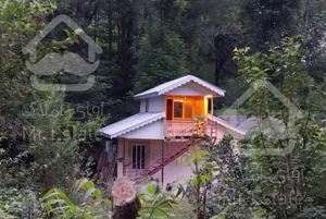 ویلا لب رودخانه با ویو جنگلی