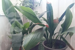 اجاره سوئیت در اردبیل