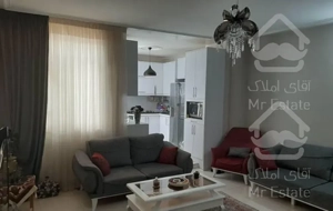 اپارتمان خوش نقشه نورگیر از پذیرایی