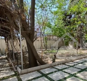 ۲۴۰ متر۳ خواب + ۱۰۰ متر حیاط اختصاصی مشجر سنایی