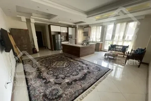 پونک شاهین شمالی ١٠٠ متر ٣ ساله