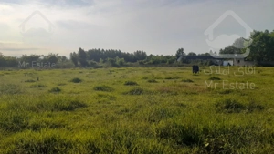 زمین باغات 538 متری