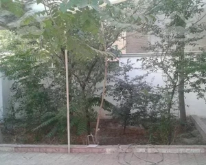 سوئیت نقلی زیرهمکف حیاط دار ** فرمانیه اندرزگو