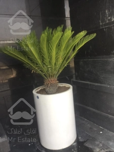 خرید واحد ۵۰ متری اقساطی چیتگر