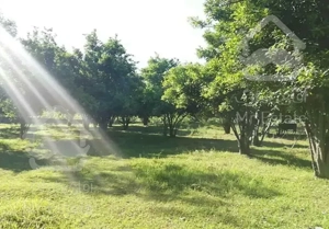 دو ملک با دو سند