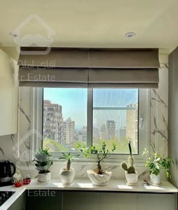 مغازه ولنجک 33 متر / ورودی پاساژ پر تردد