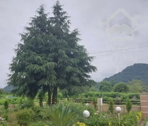 سالانه استخر دار  جنگلی داخل شهرک