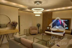 فروش آپارتمان تکواحدی۲۲۵ مترتهرانپارس فلکه اول