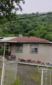 اجاره روزانه ویلا جنگلی دو خوابه با تمام امکانات