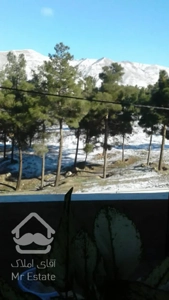 سروازاد کوچه های بالا/ویو جنگل