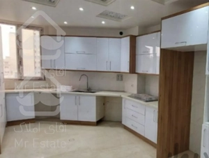 ۱۱۰ متر امیرآباد شمالی