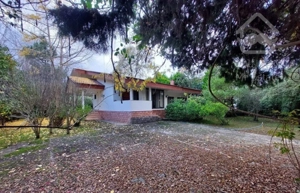 باغ ویلا 850 متر / دامنه جنگل چلک