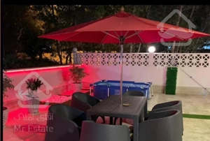 دامون کیشvip