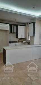 ۶۰متربهارشمالی