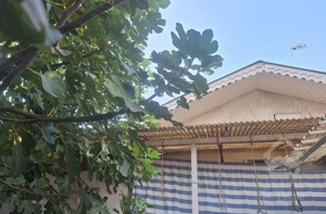 خانه ویلایی حیاط دار پارکینگ مسقف و دو درخت