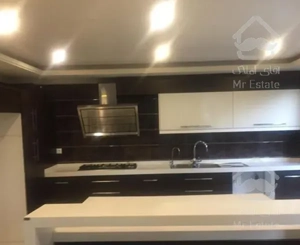 ٢٥٠متر نیاوران تکواحدی