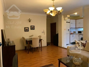 ۵۱ متر / زير قیمت/ دیزاین شده