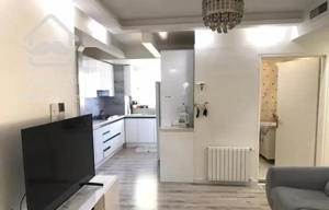 ۶۷ متر دزاشیب/فرعی دنج