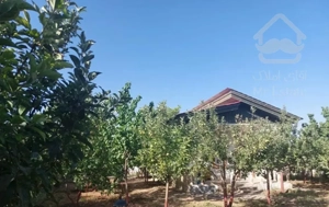 آبسرد ۱۵۰۰ متر باغ واقعی / ۱۲۰ درخت میوه