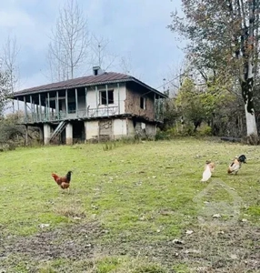 خانه کلنگی در دل جنگل