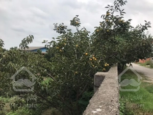 باغ 500مترمربع. محصور. غیربومی. قابل ساخت