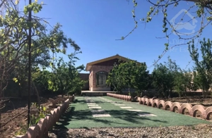باغچه ۸۰۰ متر / معاوضه با آپارتمان و ماشین