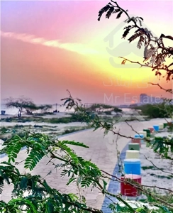 دو خواب دهکده ساحلی *سرمایگذاری*