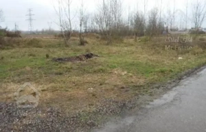 فروش زمین 1845متر ساحلی