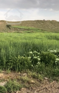 فروش ومعاوضه زمین مسکونی وباغی با آپارتمان