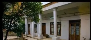 ۲۵۰ متری /حکیم نظامی