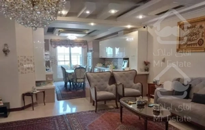 میرداماد - شاه نظری ( 205 متری )