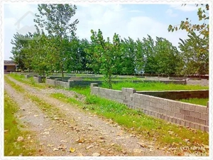 خرید زمین ۲۷۰ متری در ساری