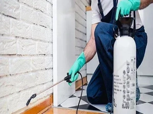 سمپاشی تخصصی سوسک ریز سم پاشی