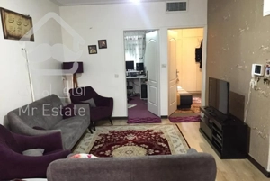 ۶۰ متری  خوش نقشه