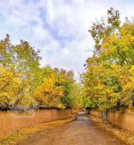 آپارتمان حیاط دار صفر بهشتی