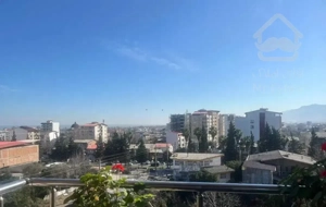 واحد 91 متر ط 4 غرق نور سند تک برگ در چالوس