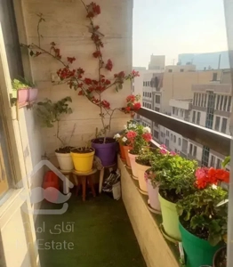 ۱۲۵ متر / شمال ستارخان / خوش نقشه