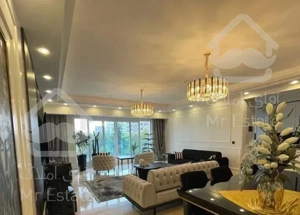 سوهانک تاپ لوکیشن برج باغ ۲۲۰متری شیک ۲پارکینگ