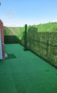 تک واحدی بهارخواب دار