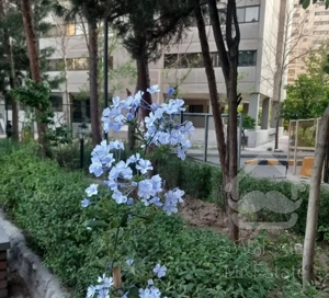 کوی بیمه۱ سیزده ساله واقعی ۸۸ متری ملاک بهنام