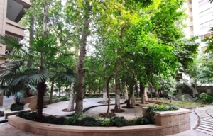 181 متری/ ویو باغ/ دوکله