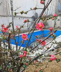 ۲۸۰ متری تک واحدی ۴ خواب