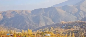 ۲۸۰ متر زمین در بام امامه