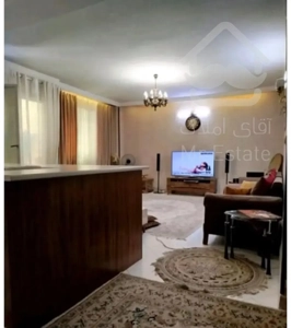 روبنما / پشت شاخه اصلی/ دسترسی به امکانات شهری
