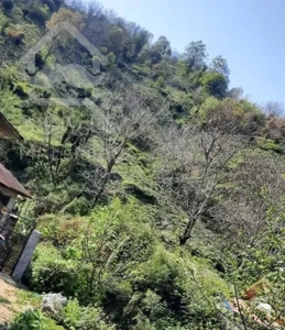 ویلا کنار رودخانه